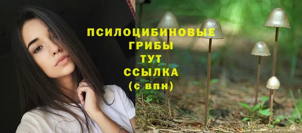 spice Михайловка