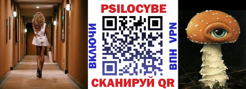 сколько стоит  Томилино  Псилоцибиновые грибы Cubensis 