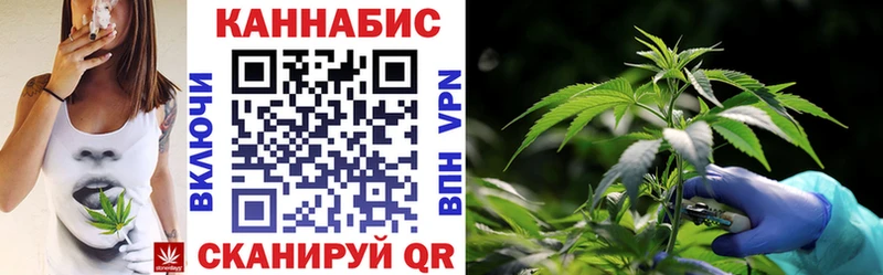 Каннабис конопля как найти Томилино